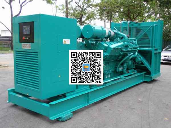 萝北租赁发电机-康明斯发电机性价比还是比较高的